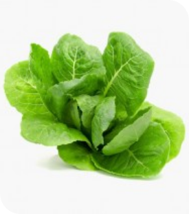 img/png