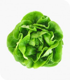 img/png