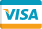 visa card